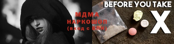 амф Каменка