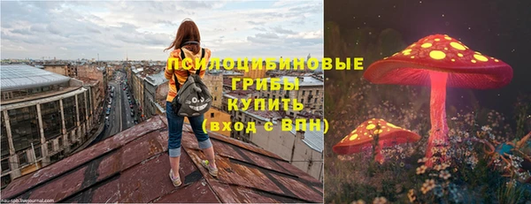 амф Каменка